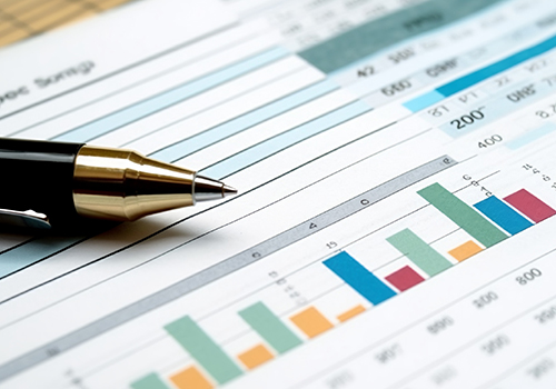 Company Outlook